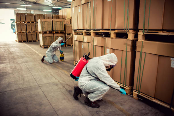 Best Wasp Removal Services  in Redmond, WA