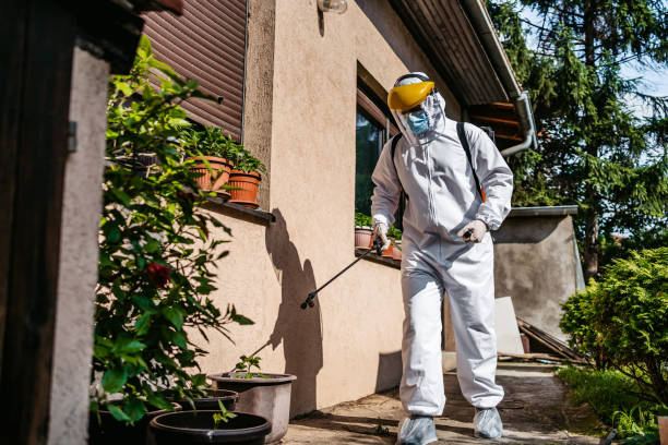 Best Cockroach Control Services  in Redmond, WA