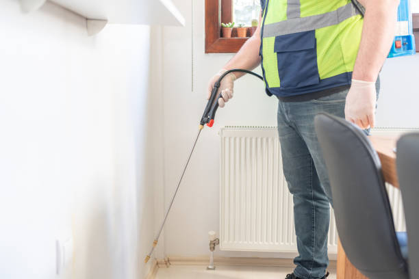 Best Local Pest Control Services  in Redmond, WA