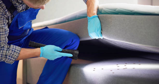 Best Insect Control  in Redmond, WA